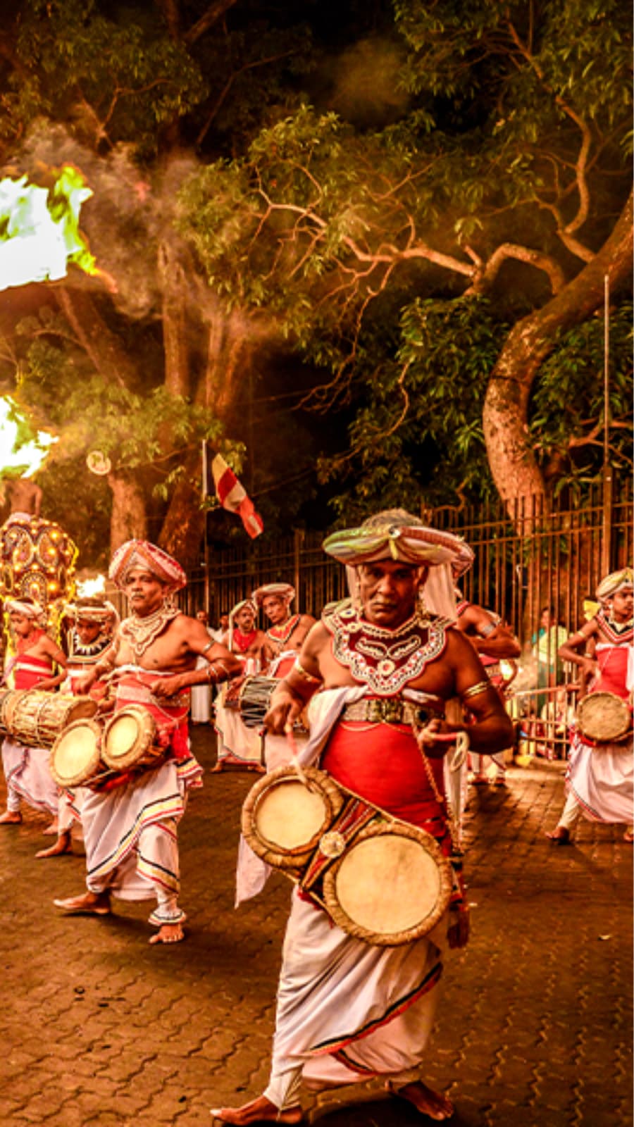 Kandy Perahera festival elephants